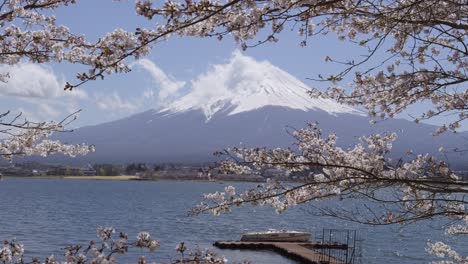 speed boat parked in front of mt. fuji at lake kawaguchiko with cherry blossoms