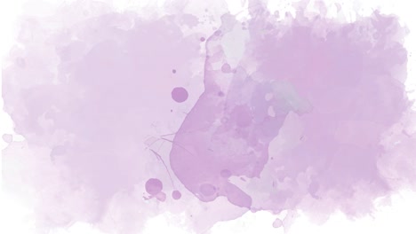 purple watercolour abstract paint. 4k motion design