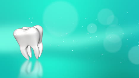 3d model of a white corner tooth. animated looped medical dental screensaver. abstract green background with bokeh. copy space.