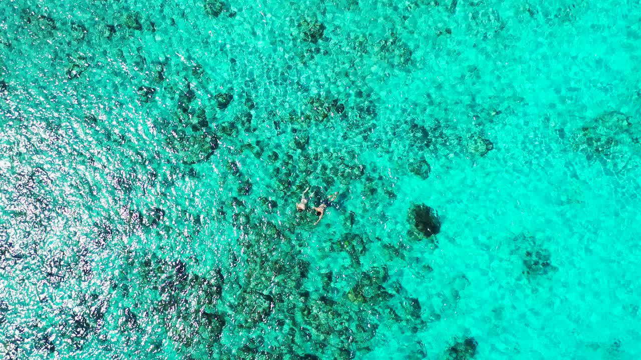 People swim and snorkel on crystal emerald water of turquoise shallow lagoon with beautiful coral reefs and rocks on seabed in Caribbean