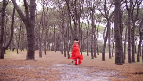 Hermosa-Dama-Vestida-De-Rojo-Bailando-Y-Corriendo-Con-Gracia-Entre-Los-árboles-En-El-Bosque-De-Pinos-En-Australia---Plano-General