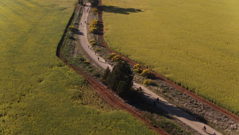 Antenne-Einer-Großen-Gruppe-Von-Radfahrern,-Die-Auf-Unbefestigten-Straßen-Im-Ländlichen-Australien-Fahren