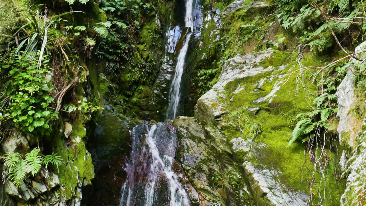 cascada oculta y musgosa de tres niveles en la selva tropical de Nueva Zelanda