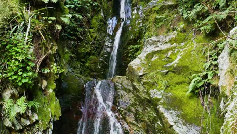 Versteckter-Dreistufiger-Moosiger-Wasserfall-Im-Neuseeländischen-Regenwald