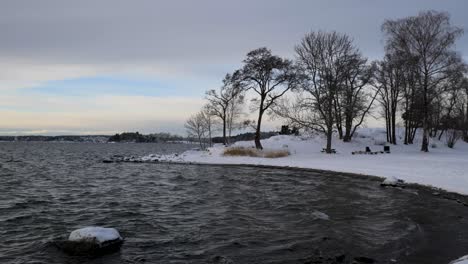 Snowy-beach-with-waves-slow-motion-waves