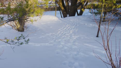 Eine-Nach-Oben-Geneigte-Aufnahme-Von-Fußabdrücken-Auf-Dem-Boden-Im-Schnee-Zeigt-Dann-Eine-Baumgruppe-Neben-Dem-Zugefrorenen-Fluss