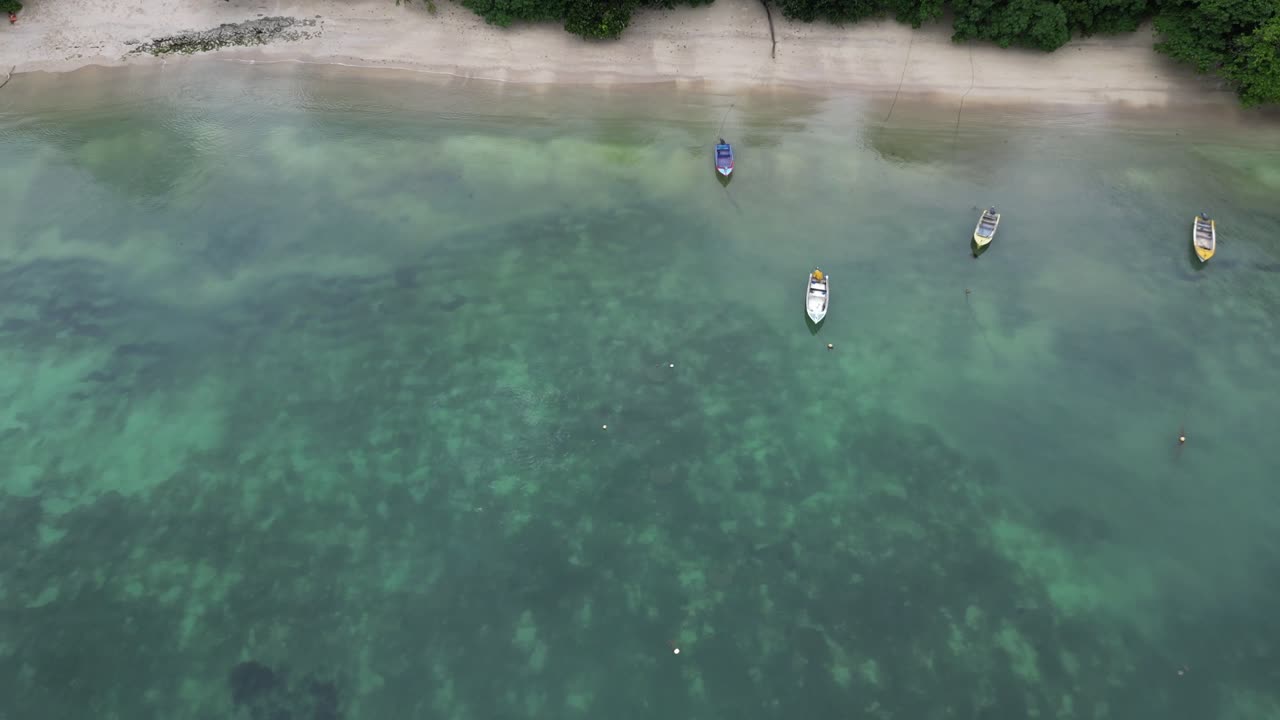배 들 이 있는 열대 해변 의 공중 사진
