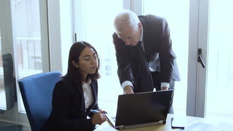 focused business lady in suit and glasses in front of laptop with businessman