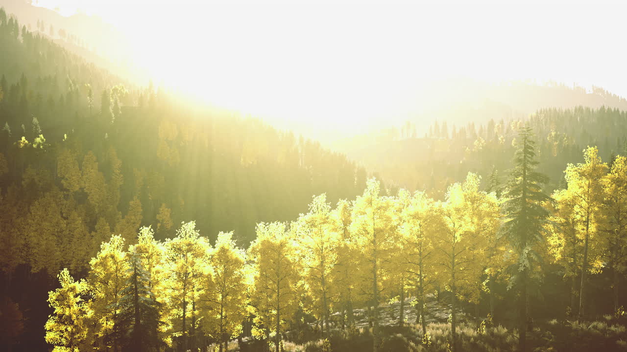 Vibrant autumn landscape with golden trees under a bright sunlit sky