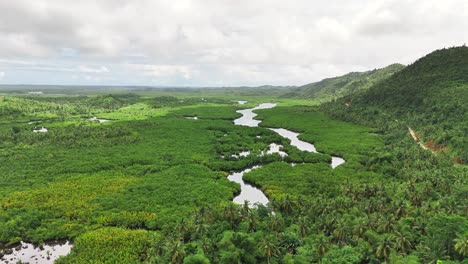 vast mangrove wetlands stretch across mataob maasin in siargao islands, philippines, with winding rivers, dense tropical foliage, and misty highlands creating a vibrant and serene natural landscape
