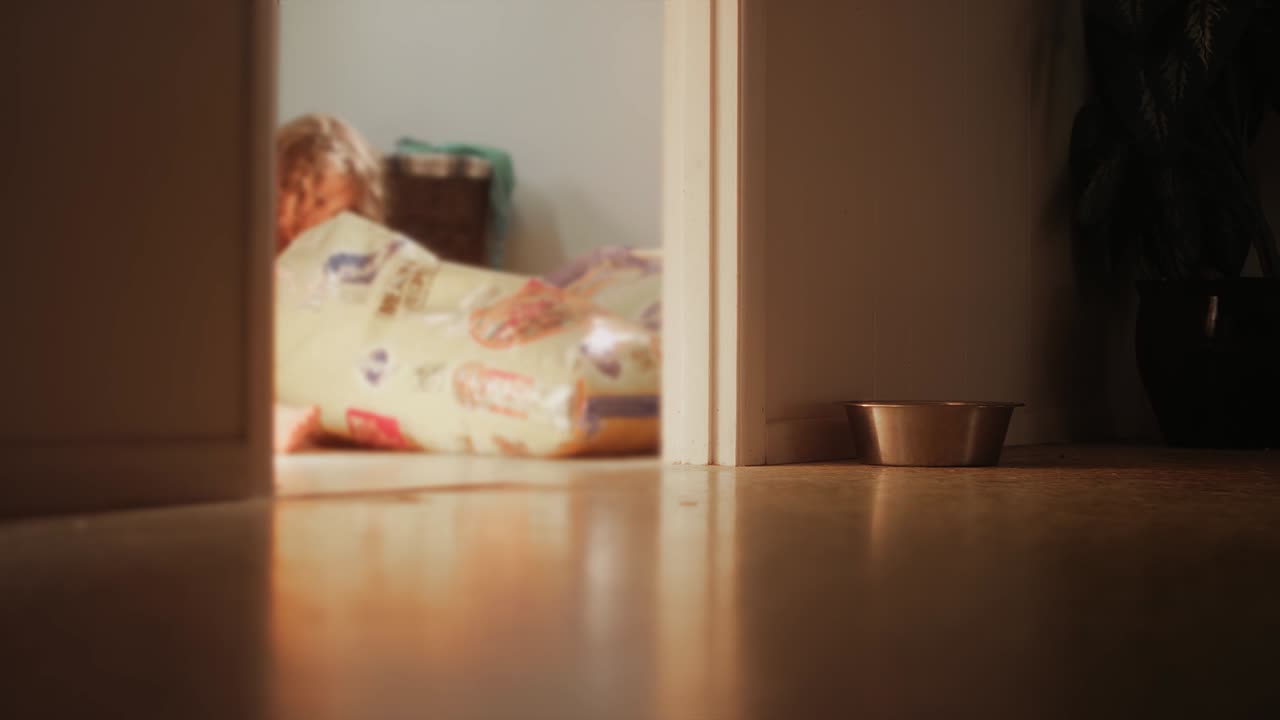 маленькая девочка собирает собачью еду из большого мешка