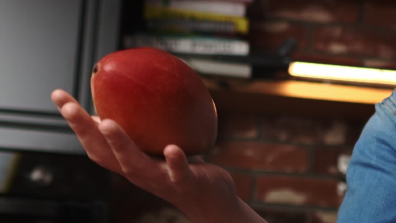 부에서 망고와 함께 재미의 트래킹 비디오