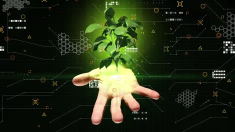 animation of hand with tree and data processing over dark background