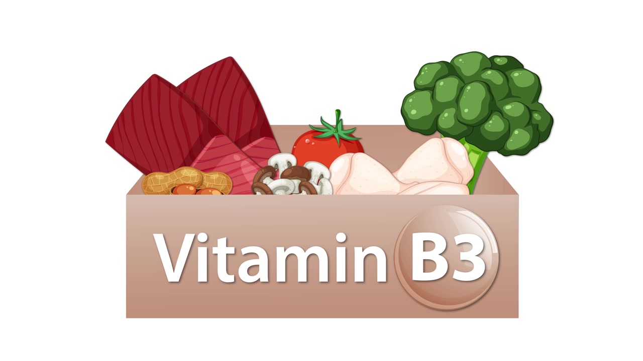 Animated box fills with vegetables, nuts, and chicken, highlighting Vitamin B3 sources, flat style