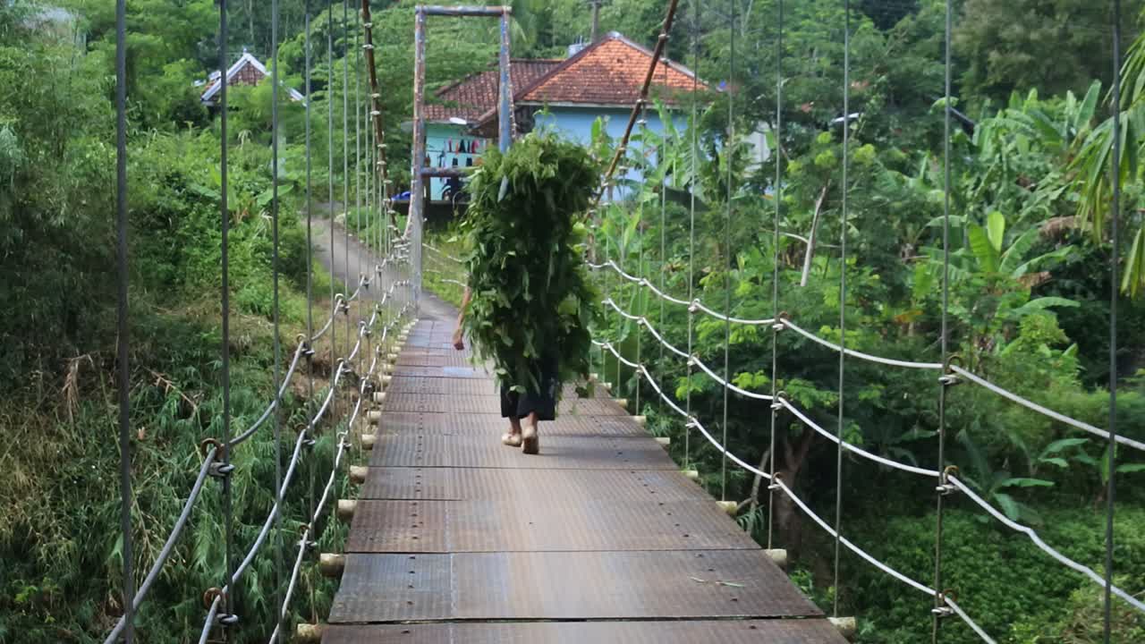 suspension bridge over the river with old man crossing on it in the morning in Sukabumi, west java, Indonesia