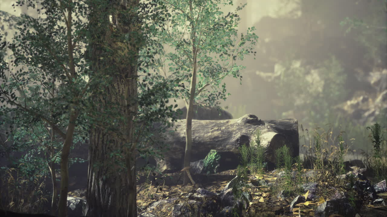 Forest tranquility captured at dawn with soft light illuminating nature