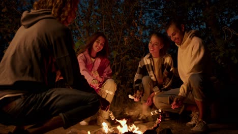 a company of two boys and two girls are roasting marshmallows on a bonfire. a party outside the city. rest in the country house