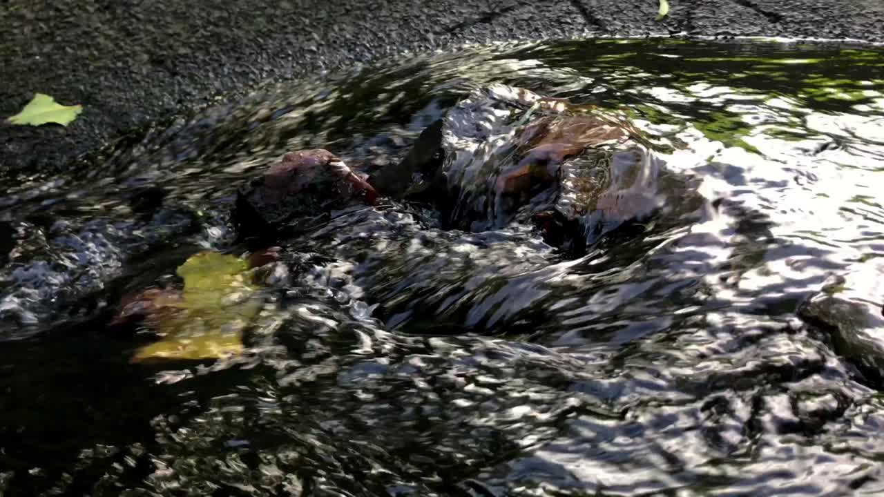 Acqua di tempesta scorre e increspa sulle pietre trasportando foglie e altri detriti