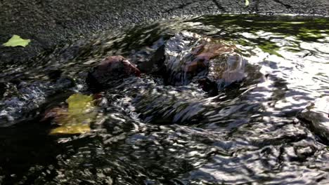 storm water flows and ripples over stones carrying leaves and other debris