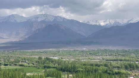 montañas cubiertas de nieve y bosque denso cerca de la ciudad de leh en ladakh
