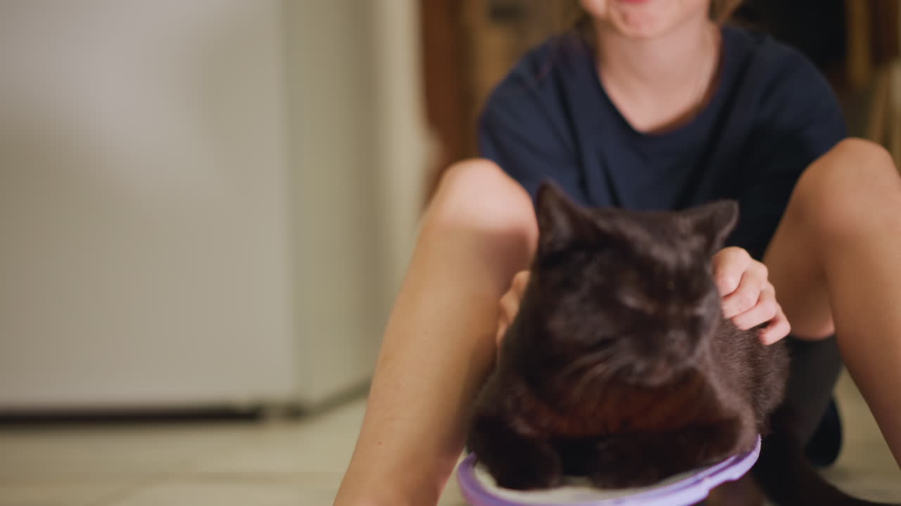 Bambina che gioca con il gatto in casa, il gatto appollaiato su una piccola sedia a rotelle tra le gambe della bambina, pavimento caldo, equilibrio giocoso, carezze delicate e atmosfera da salotto familiare con sorrisi spontanei.