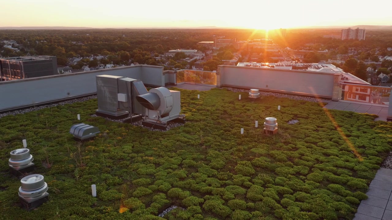 Green sedum rooftop garden covers building top in small American city, HVAC vents and metal ductwork sit among lush plants as golden sunset glows across distant skyline. Aerial drone view.