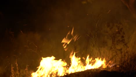 Feuer-Brennt-In-Trockenem-Gestrüpp