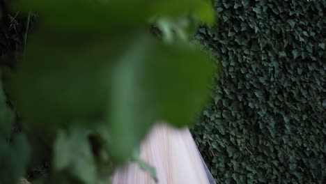 Vestido-De-Novia-Con-Perlas-Colgando-De-Los-Hombros-En-Un-Jardín-Verde-Antes-De-La-Ceremonia.-Vestido-De-Novia-De-Cerca