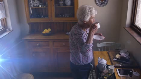 Animation-of-light-moving-over-senior-caucasian-woman-in-kitchen-looking-out-of-window-drinking-tea