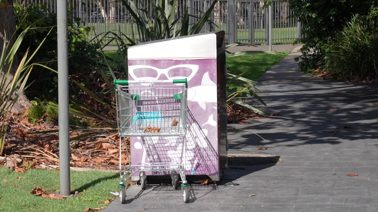 Carrello della spesa accanto a un cestino su un sentiero del parco con vegetazione circostante, Woy Woy, Nuovo Galles del Sud, Australia.