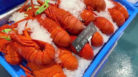 variety of seafood on ice at market