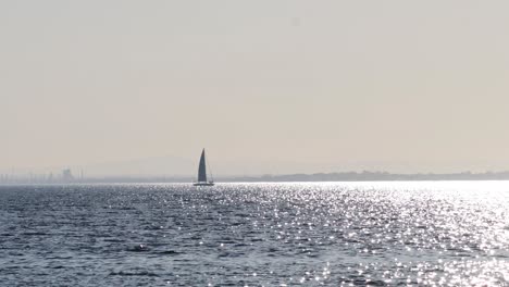 sailboat gliding across the shimmering ocean