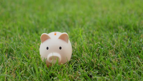 a man puts coins in a piggy bank that stands on a green lawn