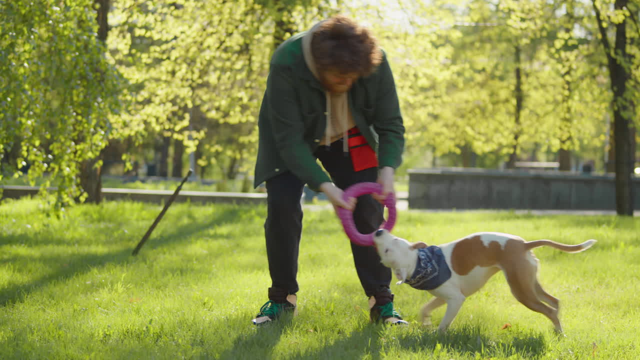 Man playing tug-of-war with his dog in a sunny park
