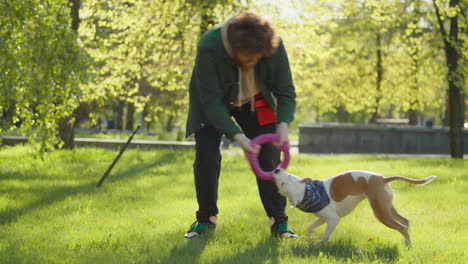 man playing tug-of-war with his dog in a sunny park