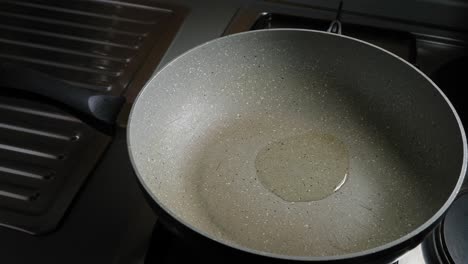 pouring small amount of vegetable oil into hot pan, then add seasoned chicken breast