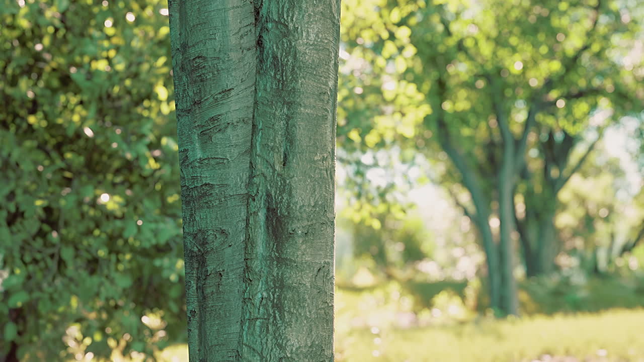 도시 의 초록색 잔디 ⁇  과 함께 공원 의 경치 좋은 전망