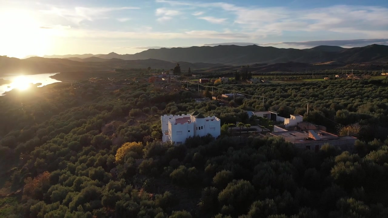 Vista aérea cinematográfica con dron de olivares y paisajes montañosos durante la hora dorada en el Atlas Medio, Marruecos, ideal para proyectos de viajes, naturaleza y rurales.