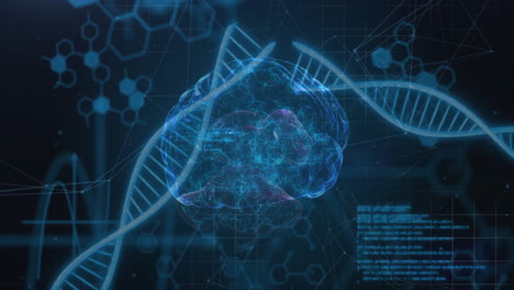 animation of data processing over dna strands and brain