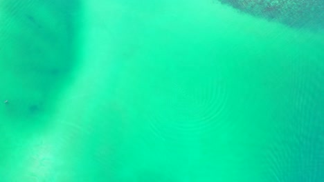 abstract emerald water background. revealing boat and corals