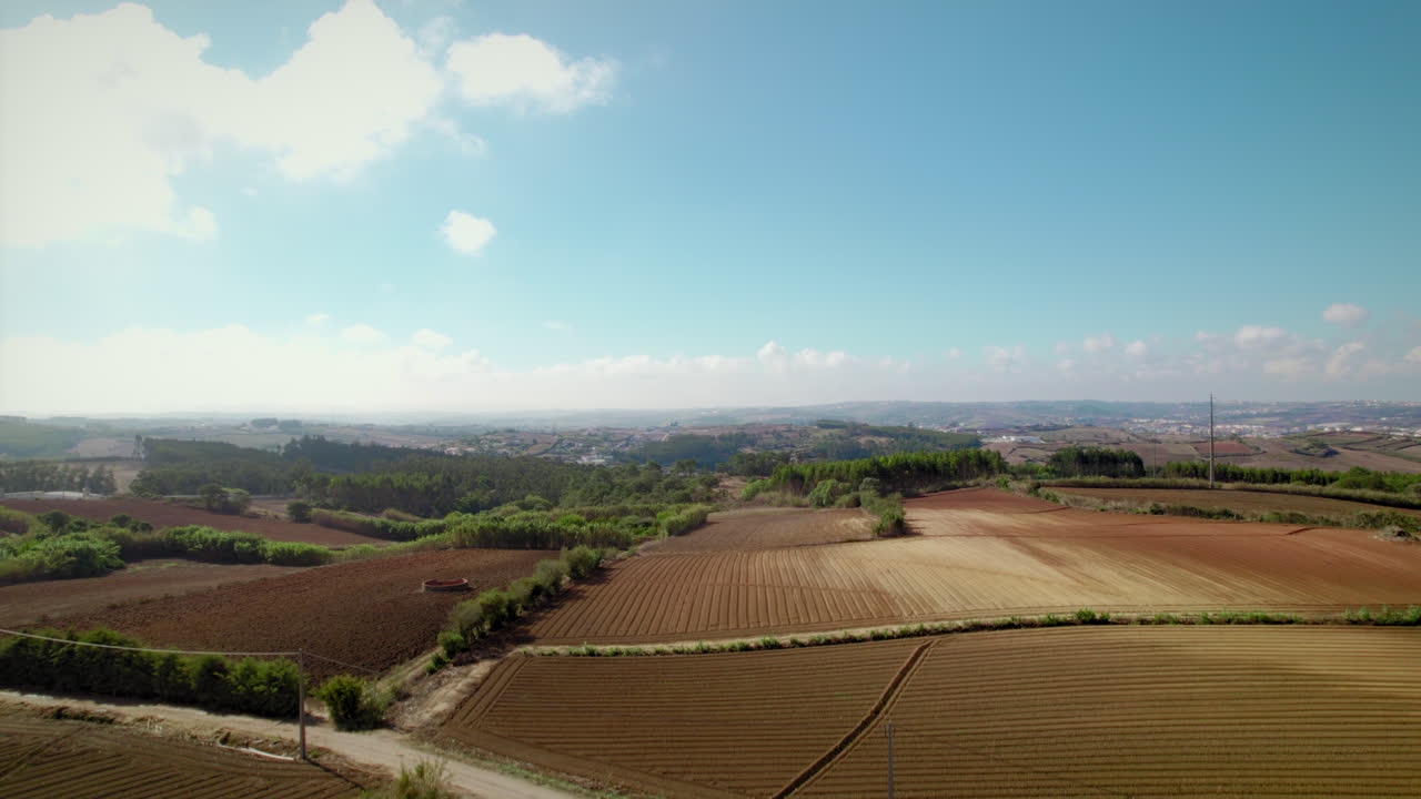 Farmina Land in Portuguese Countrvside