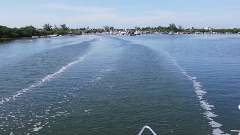 tilting up shot, scenic view of the blue sea in isla holbox, mexico, island and palm trees in the background
