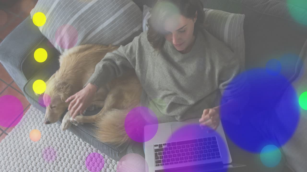 Woman settling on sofa typing on laptop keyboard for tech work then pausing for petting dog