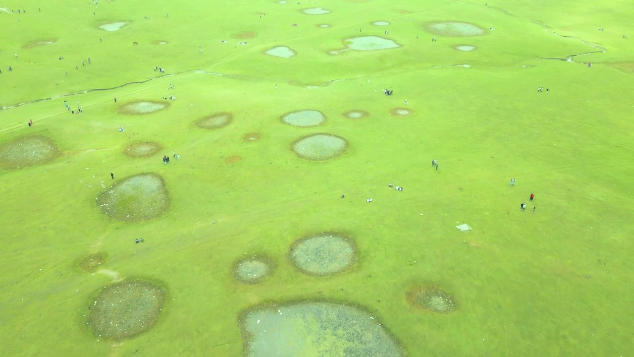 Doodhpathri (Valle del Latte) è una destinazione turistica e una stazione collinare nel territorio dell'Unione indiana di Jammu e Kashmir. Si trova nell'area di Khan Sahab, nel distretto di Budgam.