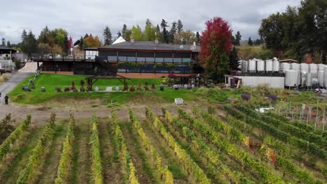 right drone aerial sweep over vineyards and winery