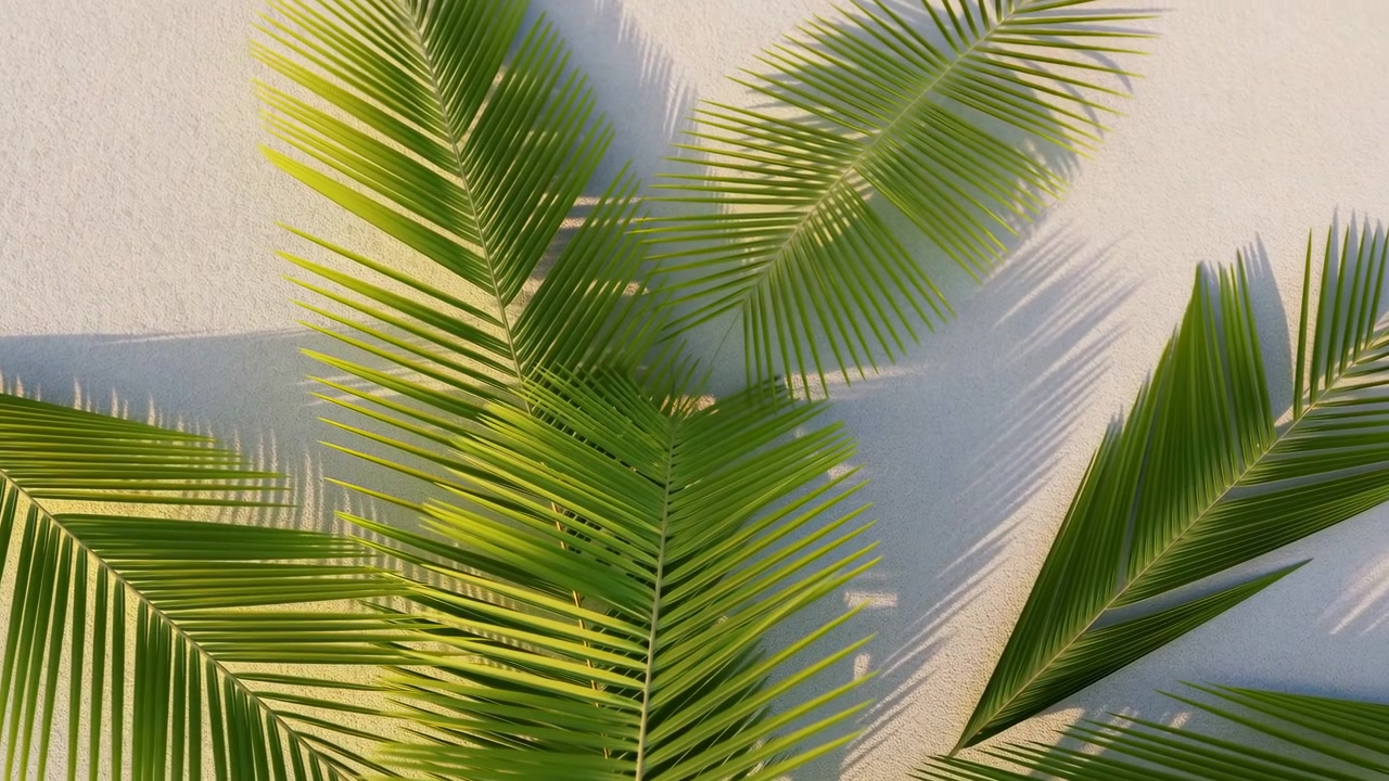 Close frontal view of multiple pinnate palm fronds overlapping against light beige stucco wall, with warm directional sunlight creating striped shadows, glossy green leaf texture, and clean