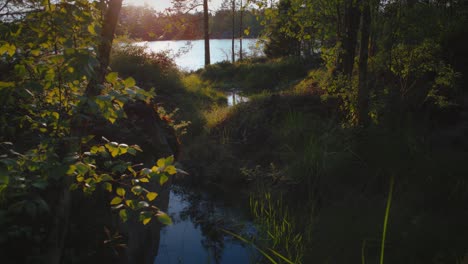 small creek leads into lake with sunshine, late evening in sweden