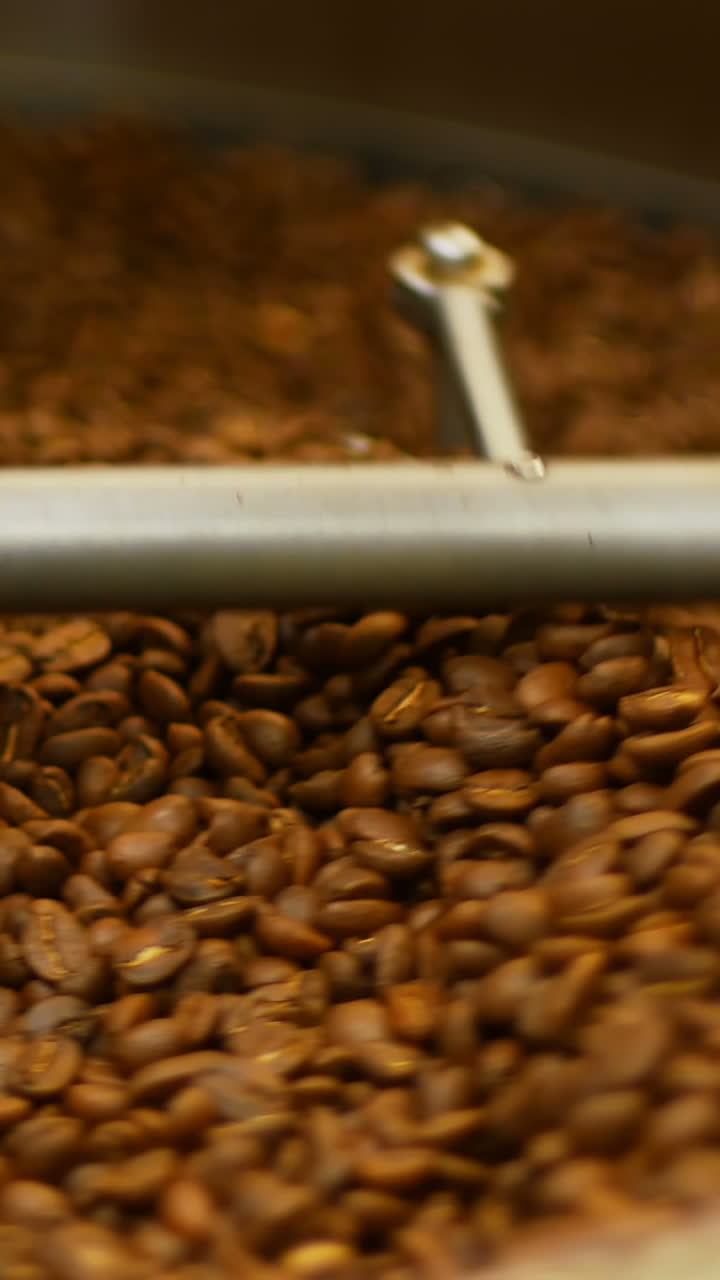 Coffee beans poured inside coffee roasting machine