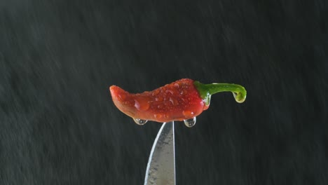 검은 바탕에 칼에 붙어 있는  ⁇ 은 고추에 물을 스프레이하는, 매크로  ⁇