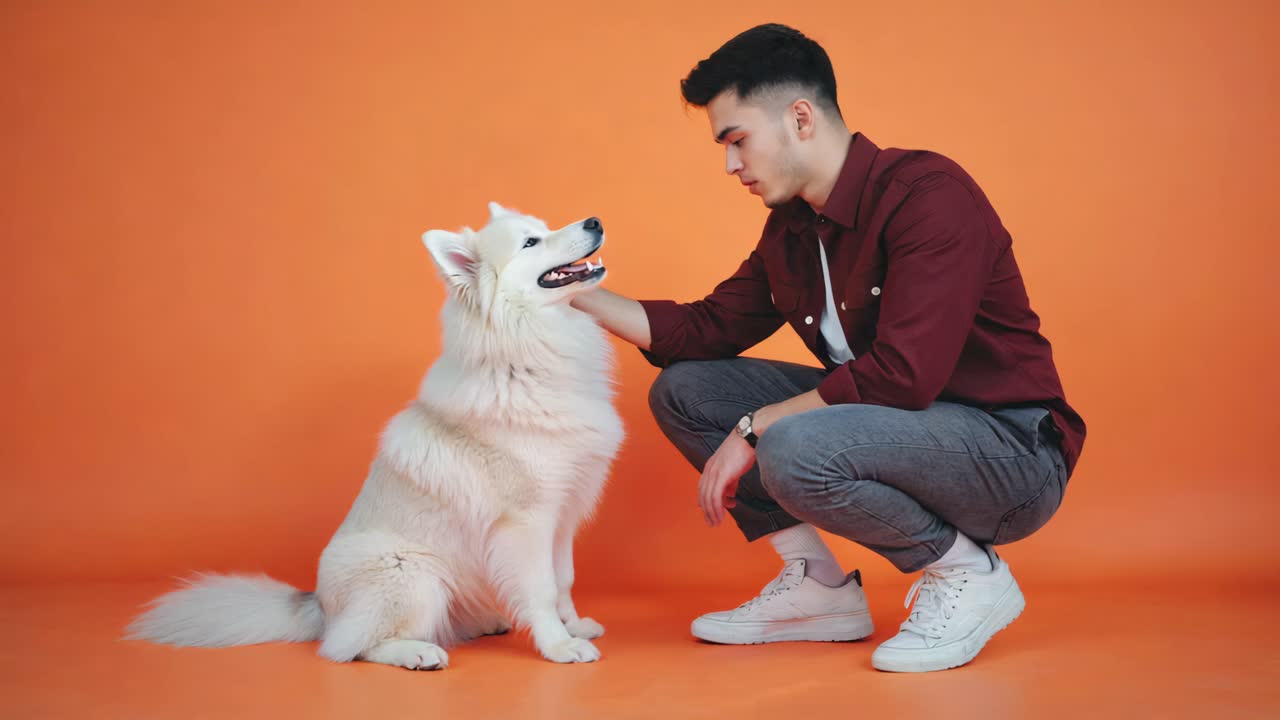 Man petting his dog on an orange background